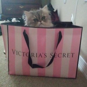 EVERYTHING MUST GO- MAKE OFFERS